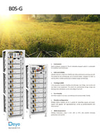 DEYE 3U-LRACK -9- Standard 19 inch